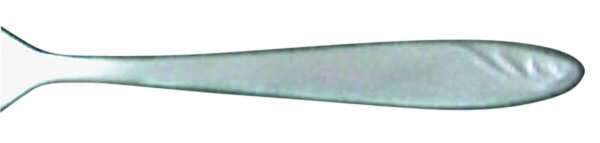 HEN19 by J A Henckels (Zwilling)