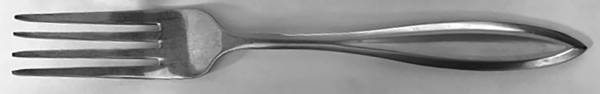Long Leaf (Stainless) by Martha Stewart Flatw