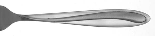 Chelsea Frost (Stainless) by Mikasa