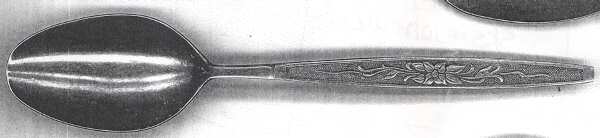 NTS51 (Stainless) by National Silver Co