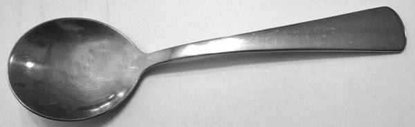 OHS179 (STAINLESS) by Oneida Silver