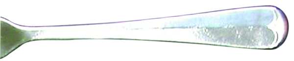 Rattail (Stainless) by Roberts & Belk