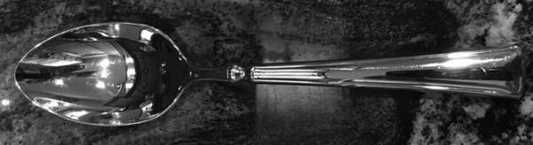 RDS224 (Stainless) by Reed & Barton