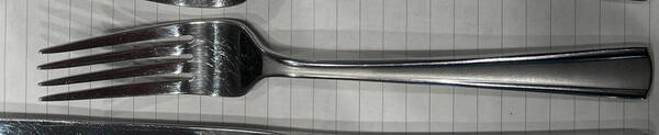 Chambelain (Stainless) by Robinson (Robinson Home Products)