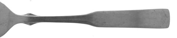 Danica (Stainless) by Unknown Mfg Silver