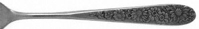 UNF48 (Stainless) by Unknown Mfg Silver