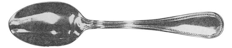 WSF1 (Stainless) by Williams-Sonoma