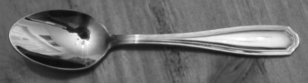 WAS239 (Stainless) by Wallace Silver