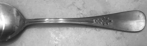 WAS263 (Stainless) by Wallace Silver